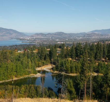 A panoramic view of a lakeside city surrounded by rolling hills and dense forests under a clear blue sky.