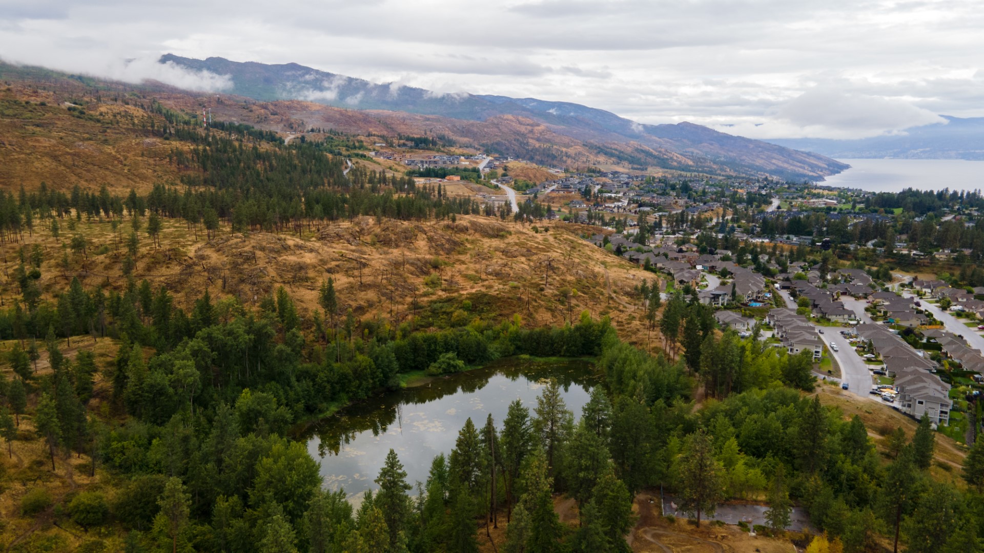Aerial view of a residential area with houses near a small lake, surrounded by forests and hills, under a cloudy sky.