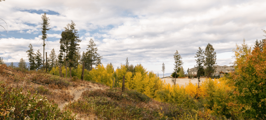 Trails in upper mission Kelowna near Sage Water development with fall foliage